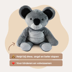 img-dutch