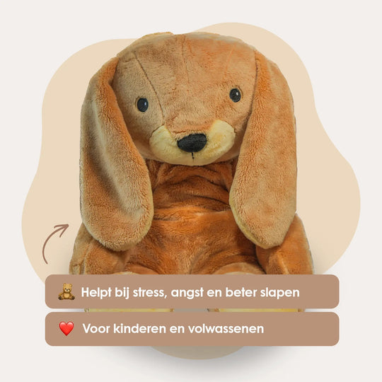 img-dutch