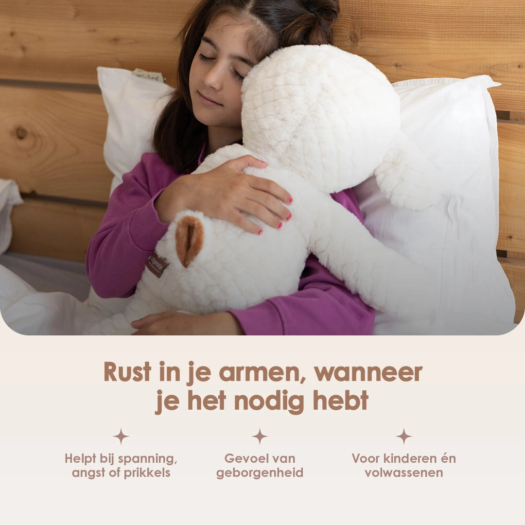img-dutch