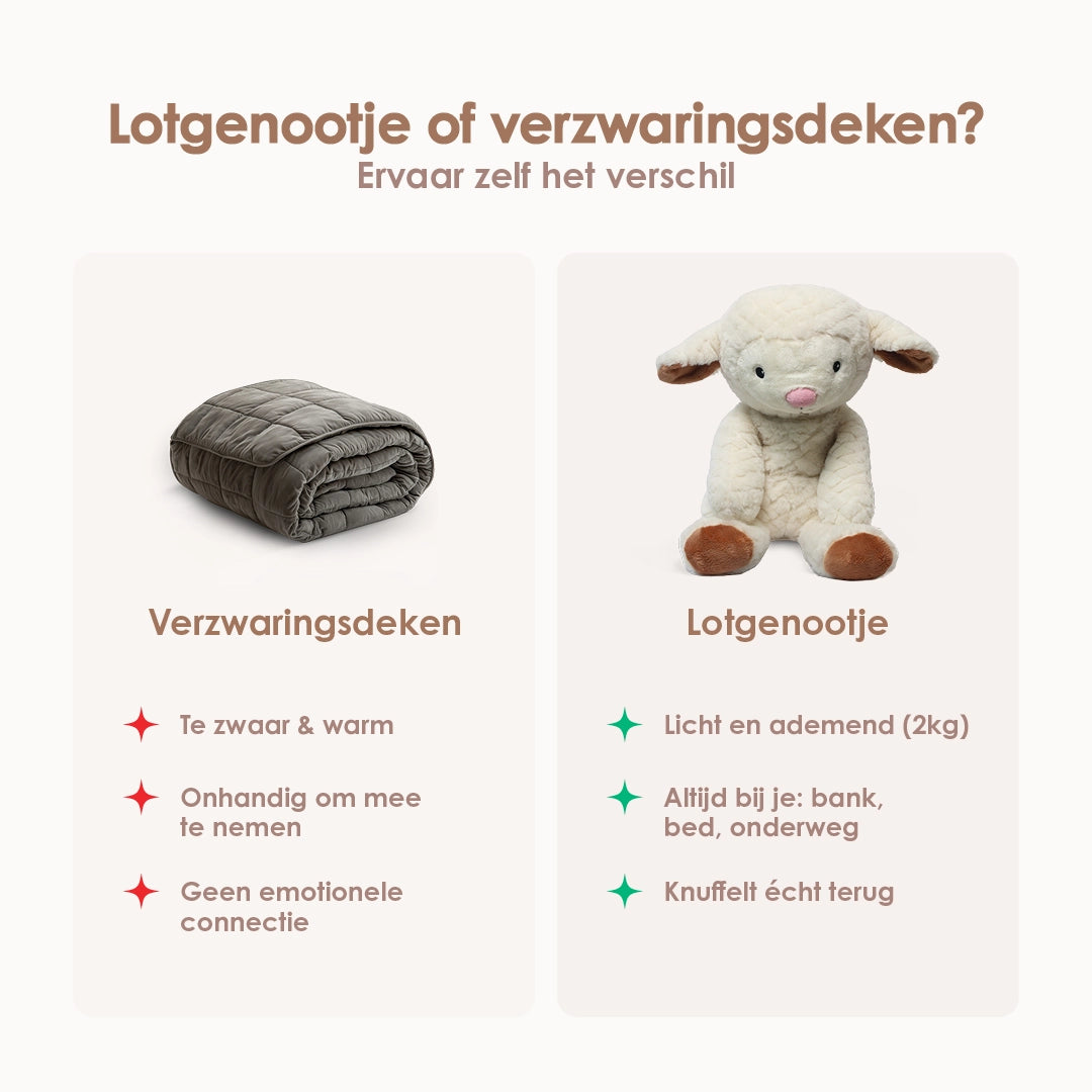 img-dutch