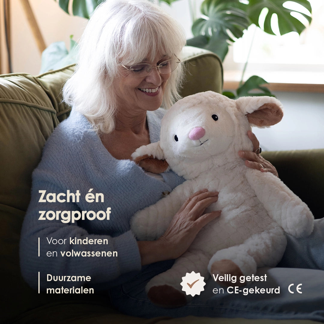 img-dutch