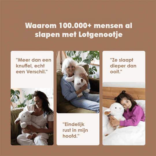 img-dutch