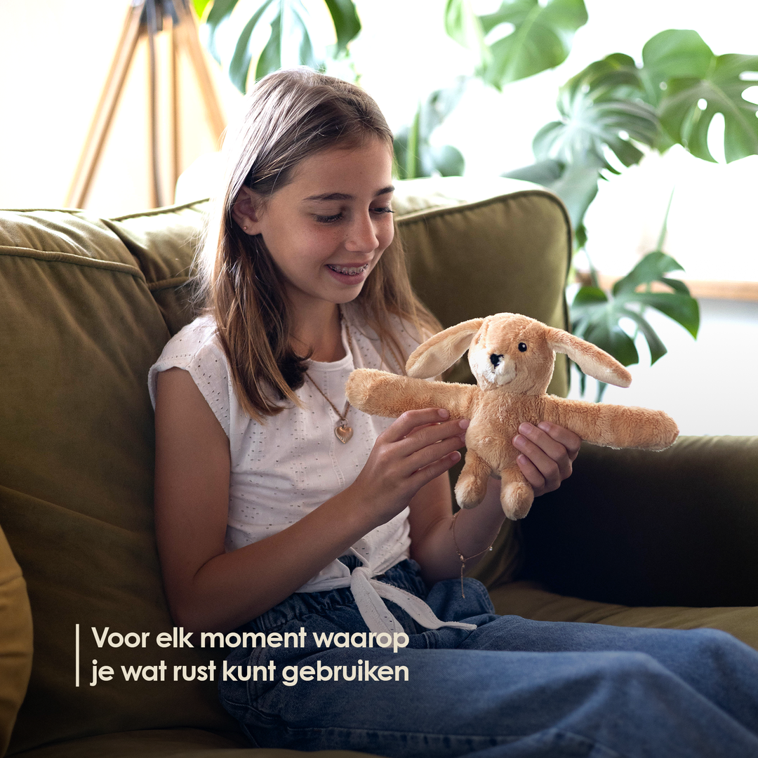 Mini Lotgenootje Rabbit