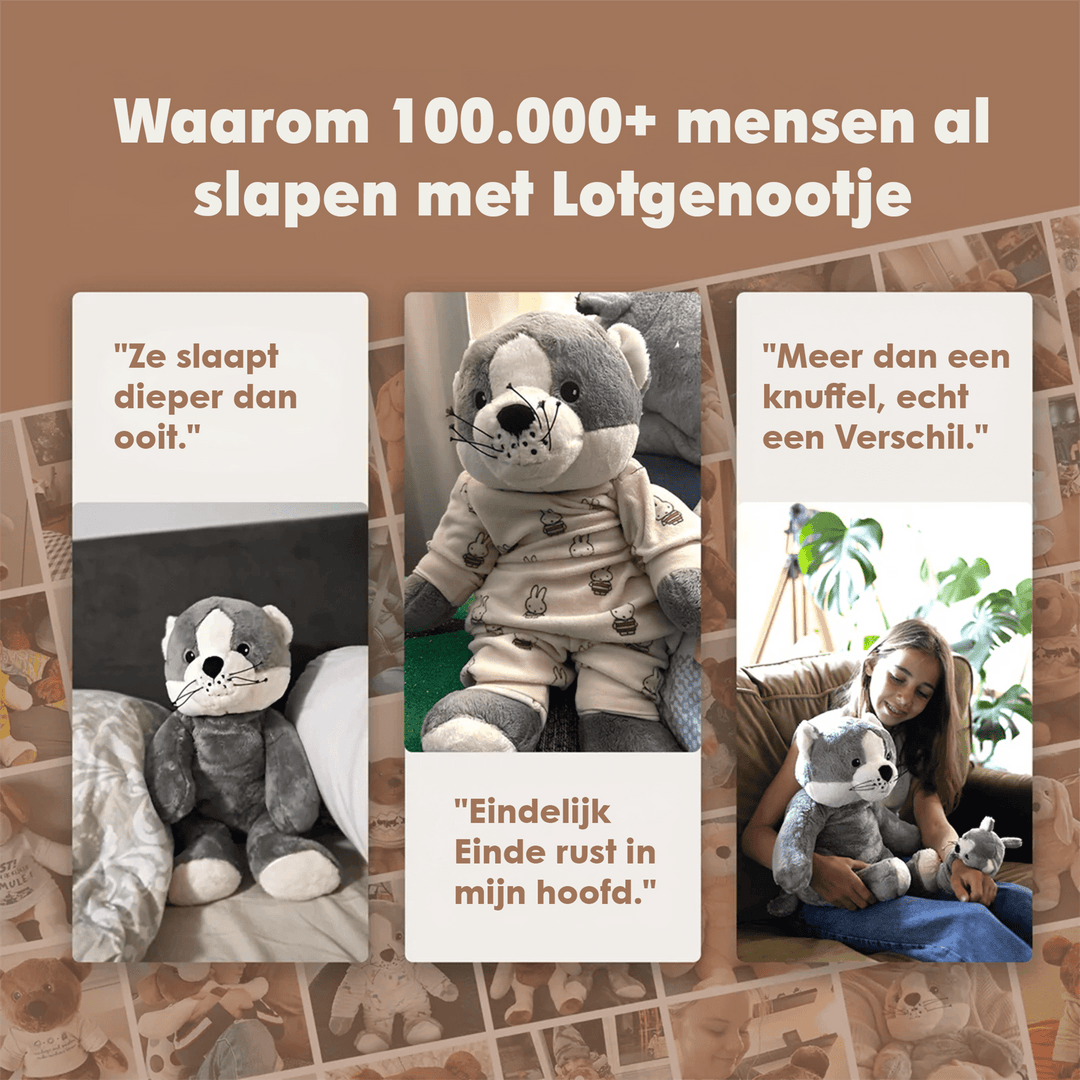 img-dutch