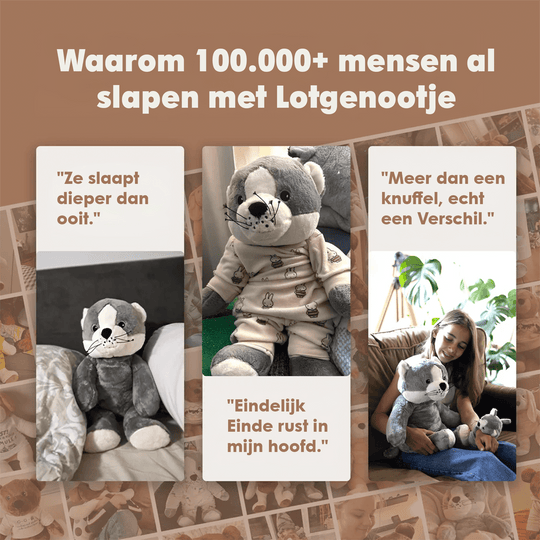img-dutch