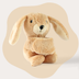Mini Lotgenootje Rabbit
