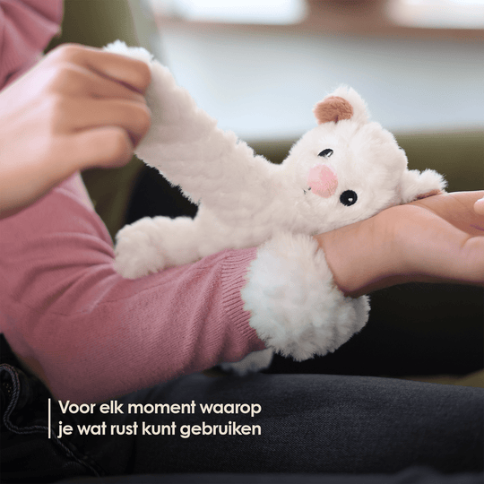 img-dutch