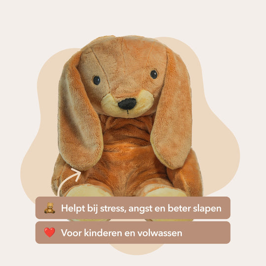 The best Lotgenootje deal – All 4 Lotgenootjes in 1 - You save €70