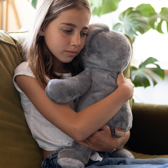 Mini and Large Koala - You save €20