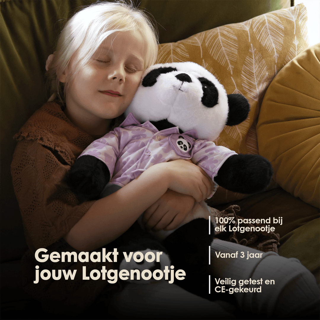 img-dutch