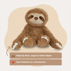 img-dutch