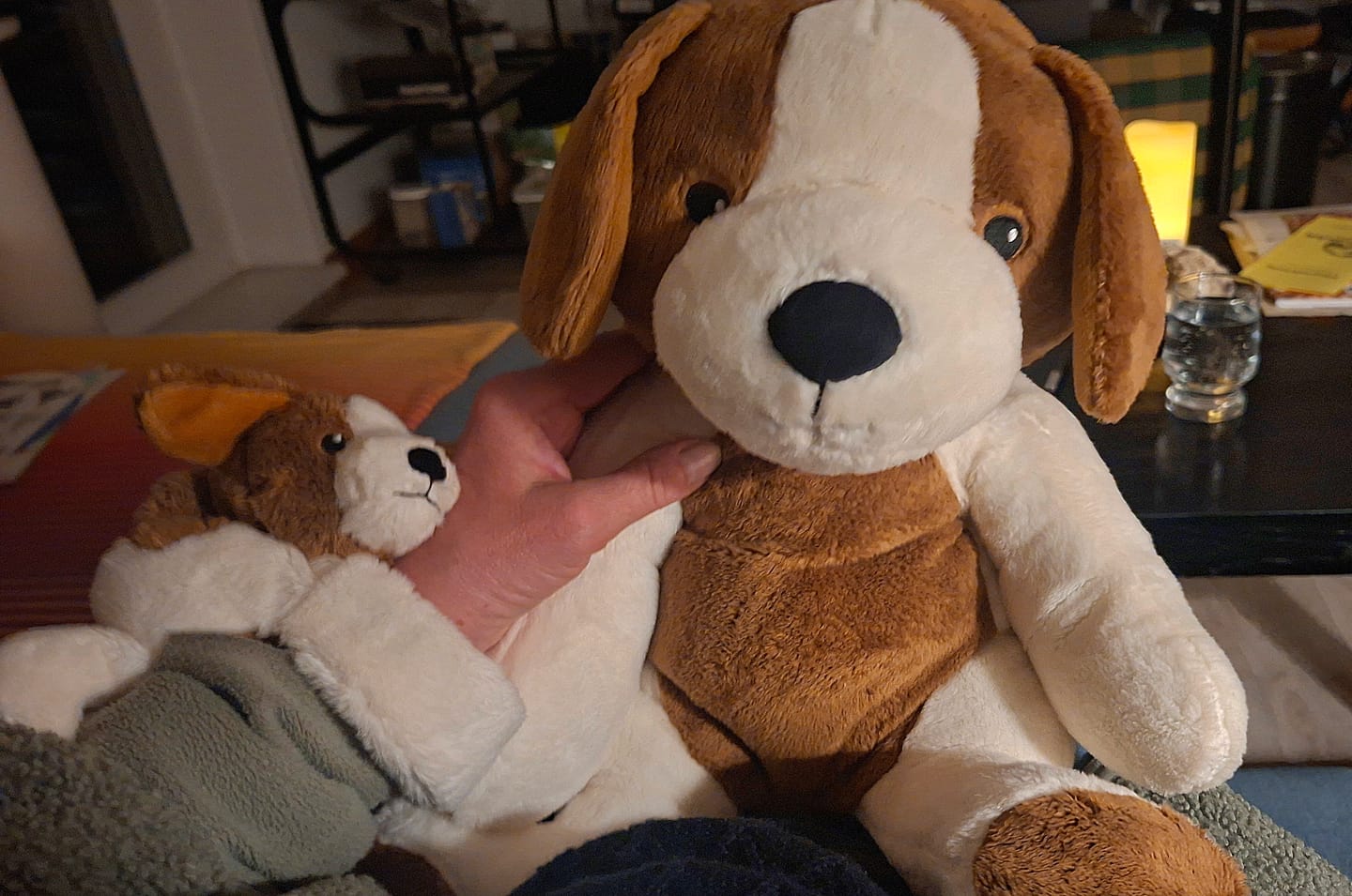 Customer photo review of Mini & Grote hond - Je bespaart €20