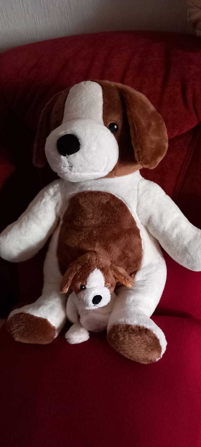 Customer photo review of Mini & Grote hond - Je bespaart €20