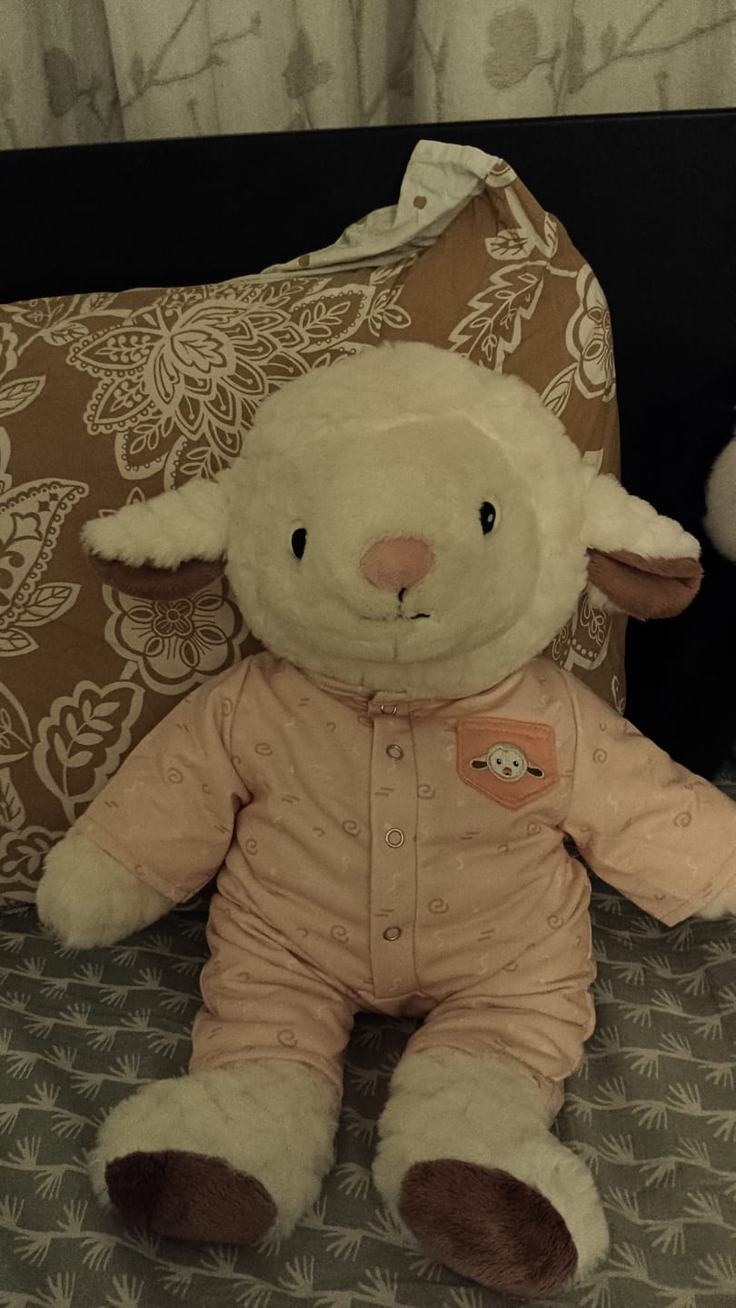 Customer photo review of Schaap Kleding Herfst Lotgenootje