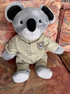Customer photo review of Panda Kleding Origineel Lotgenootje
