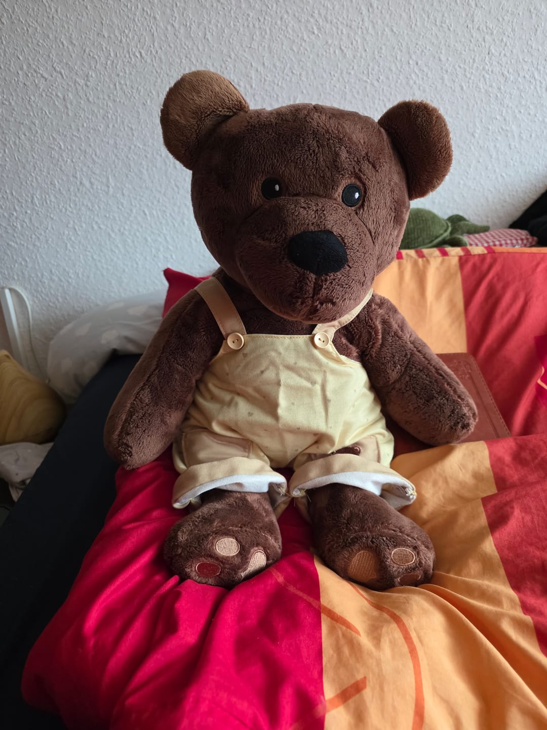 Customer photo review of Beer Kleding Lente Lotgenootje