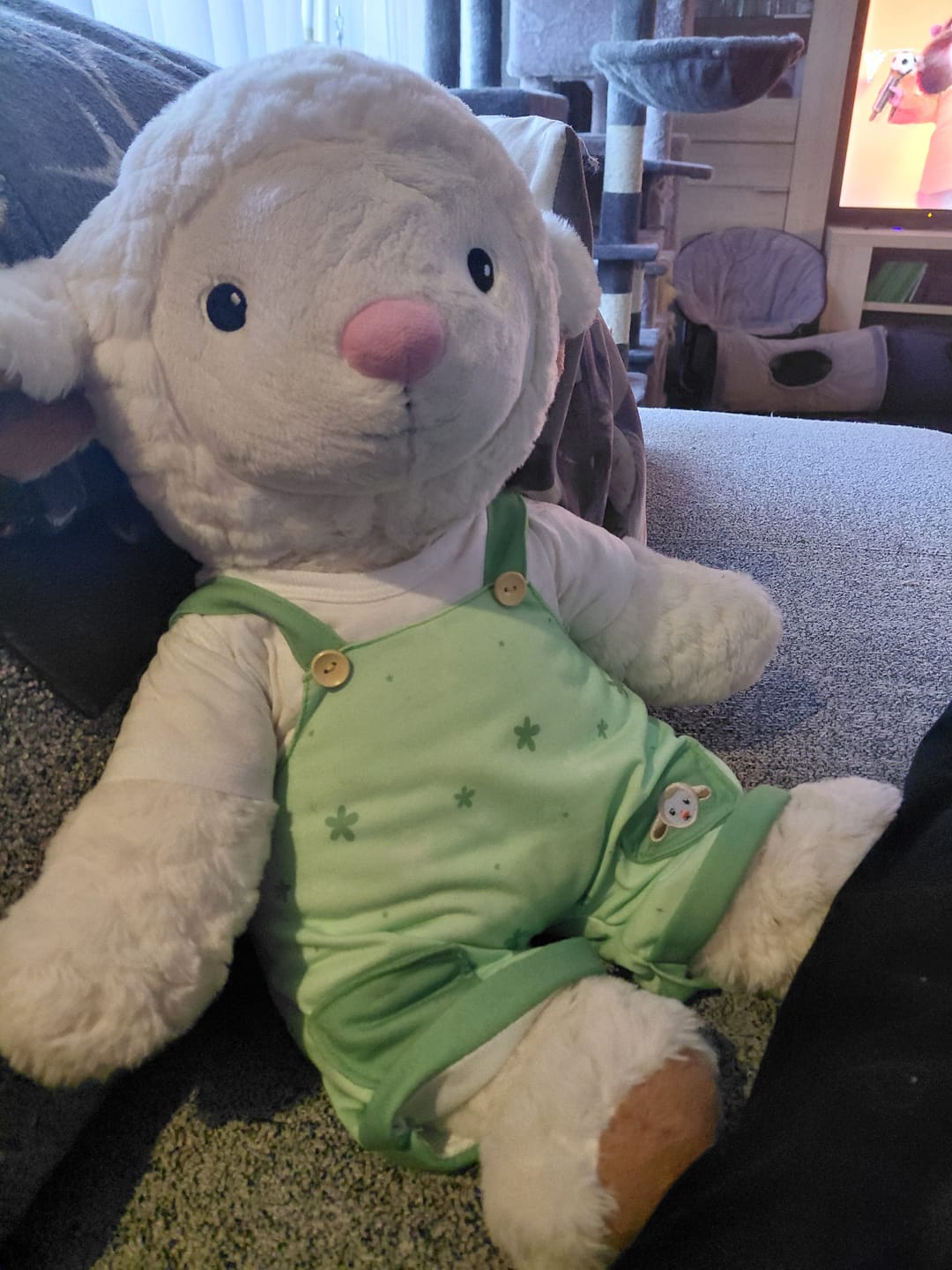 Customer photo review of Schaap Kleding Lente Lotgenootje
