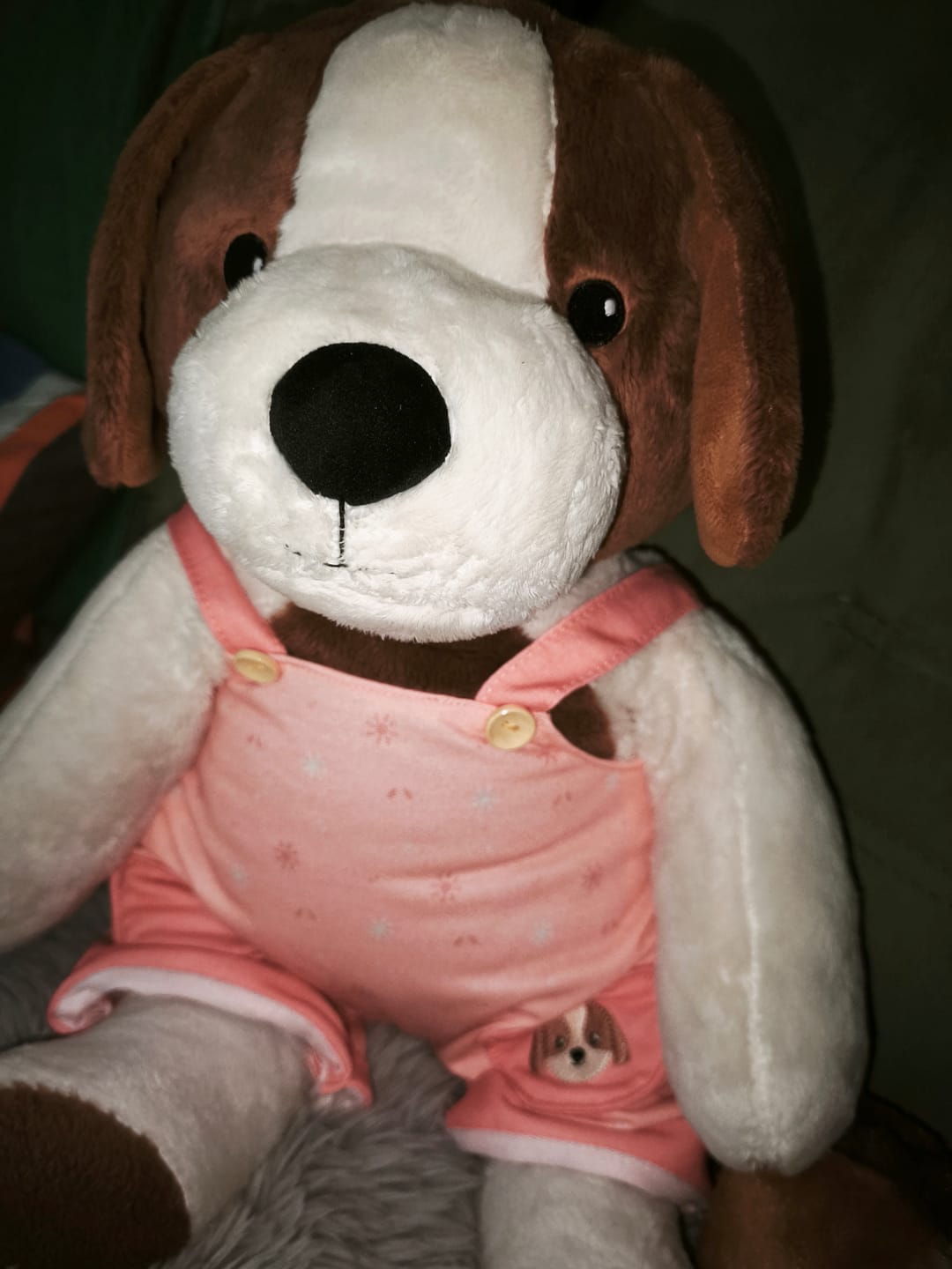 Customer photo review of Hond Kleding Lente Lotgenootje