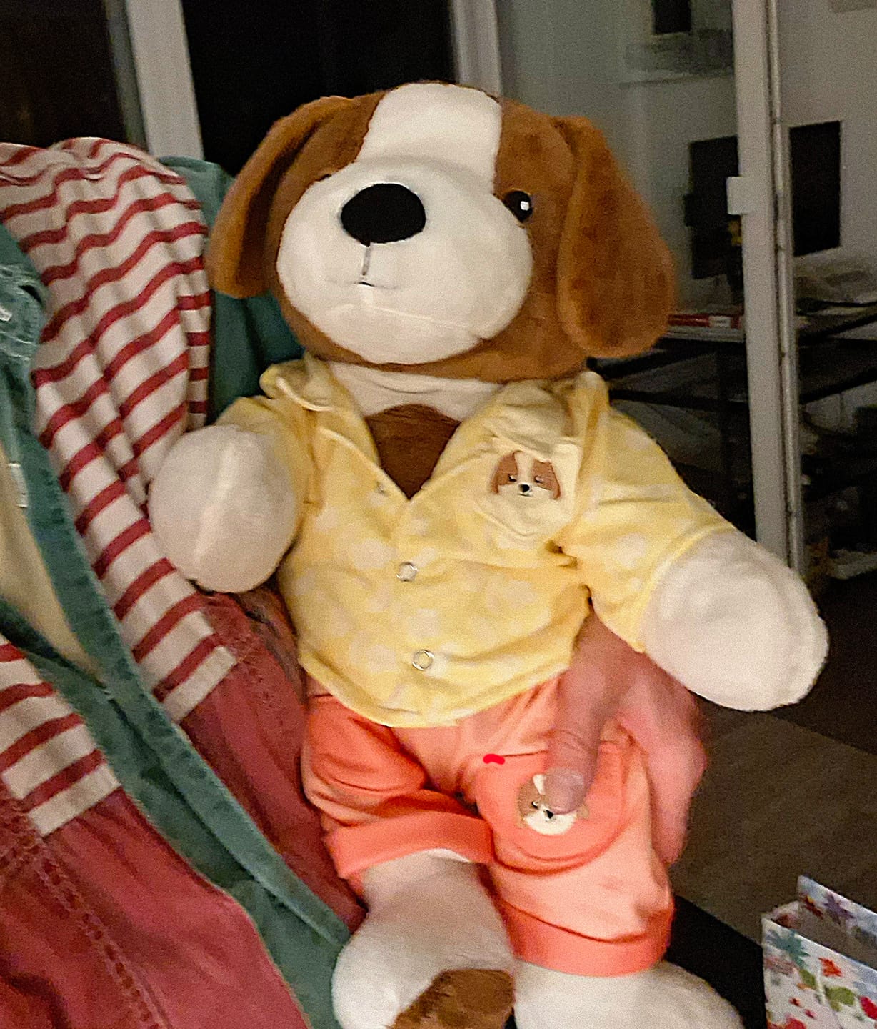 Customer photo review of Hond Kleding Zomer Lotgenootje