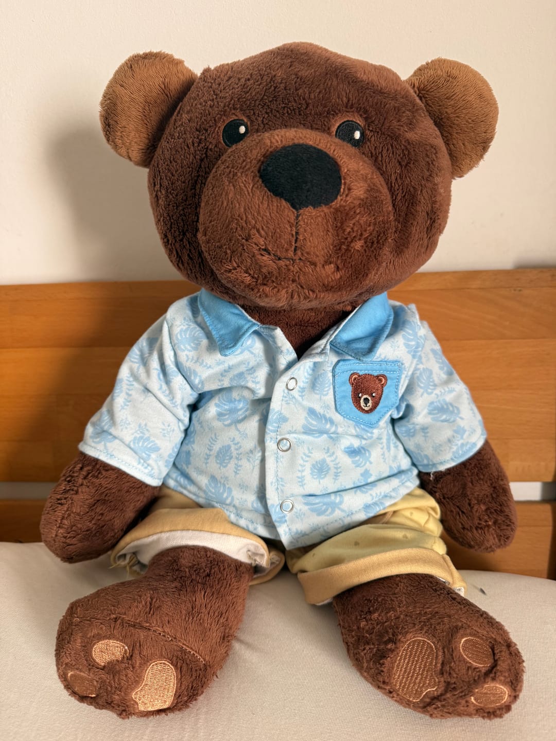 Customer photo review of Hond Kleding Zomer Lotgenootje