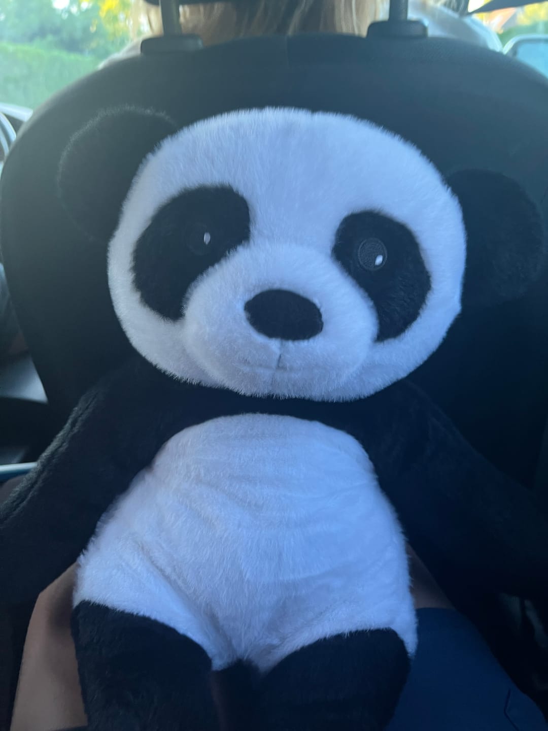 Customer photo review of Lotgenootje Panda 2kg