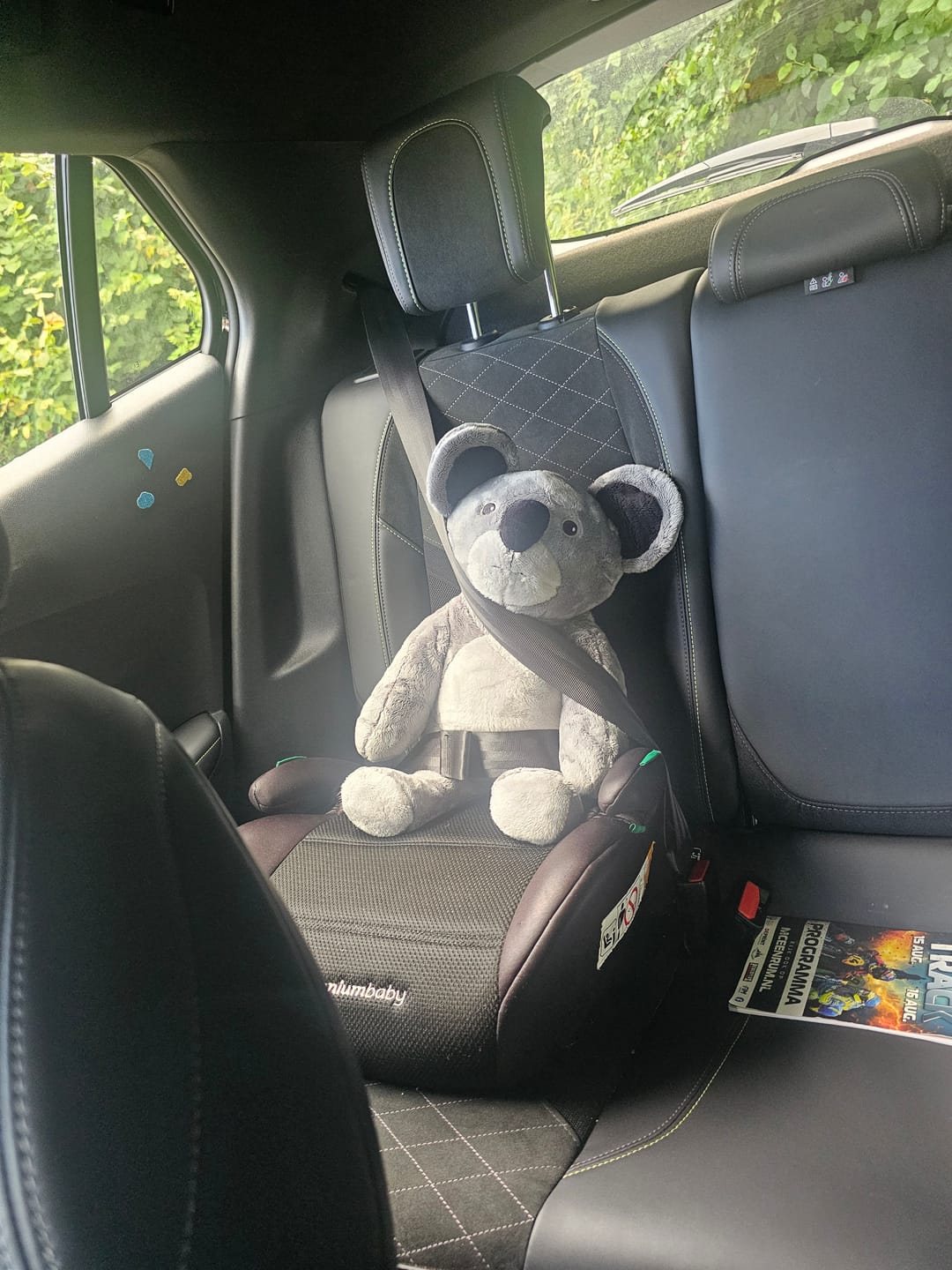 Customer photo review of Lotgenootje Koala 2kg