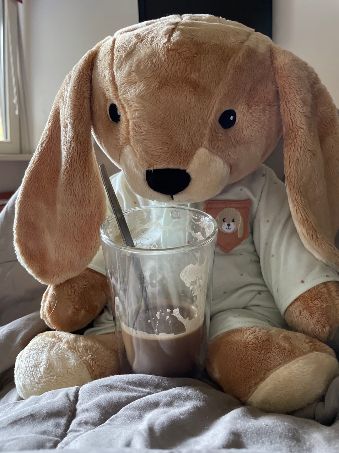 Customer photo review of Lotgenootje Konijn 2kg